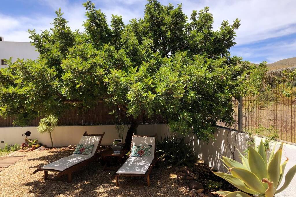 Villa Casa Granado En Cabo De Gata Rodalquilar Esterno foto