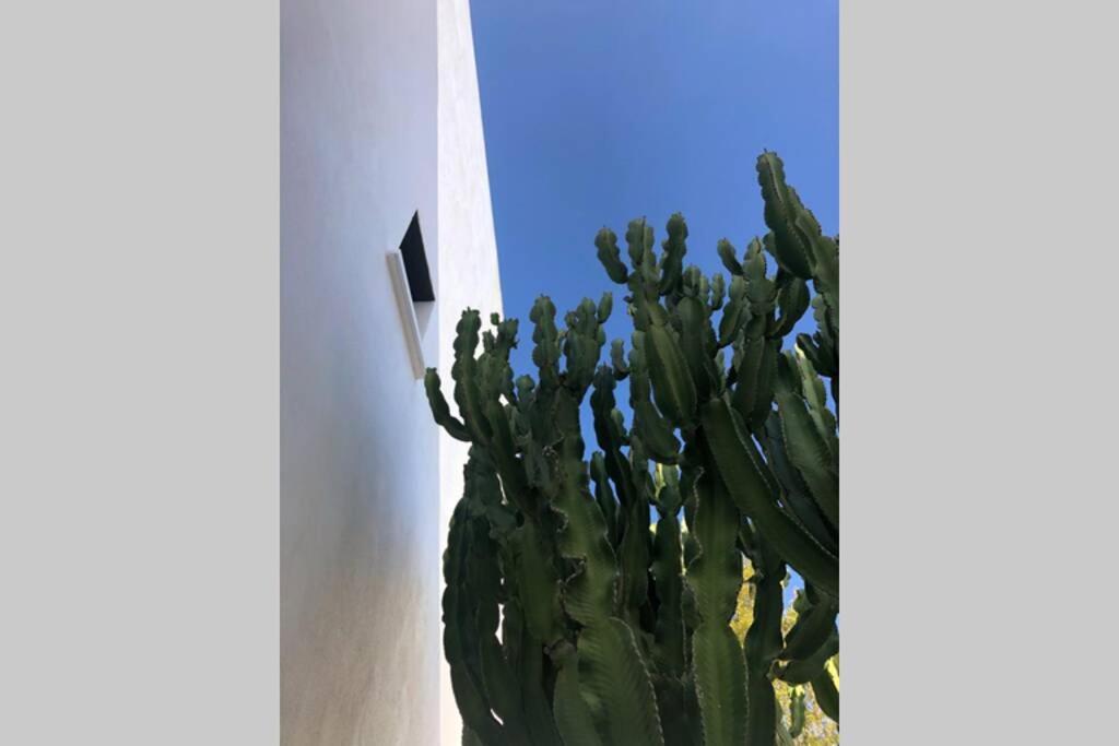 Villa Casa Granado En Cabo De Gata Rodalquilar Esterno foto